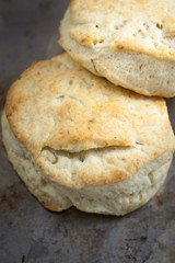 Homemade Biscuits
