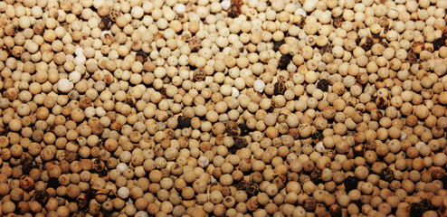 white pepper background