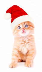 Little kitten in Santa Claus hat isolated on white