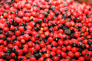 red spice background