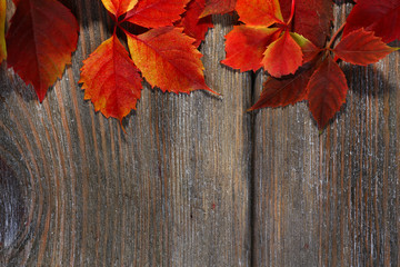 Naklejka na ściany i meble Autumn leaves on brown wooden background