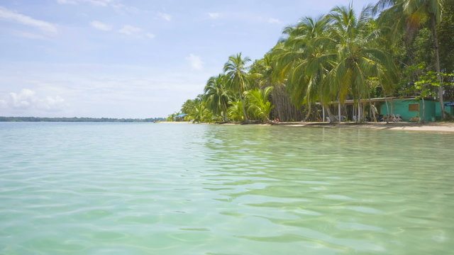 Starfish beach on the archipelago Bocas del Toro