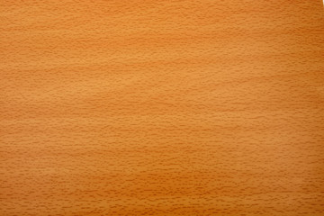 Beech wood grain texture
