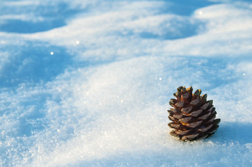 Background with conifer bump on fluffy snow