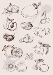 collection of  hand drawing isolated  fruits