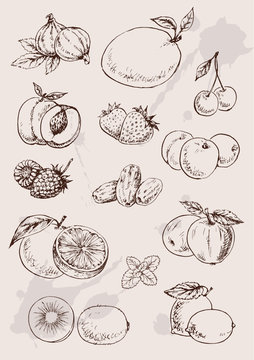 collection of  hand drawing isolated  fruits