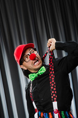  Funny clown in humorous concept against curtain