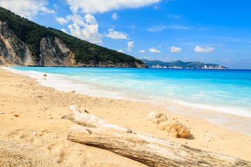Dry tree trunk on idyllic sandy Myrtos beach, Kefalonia island