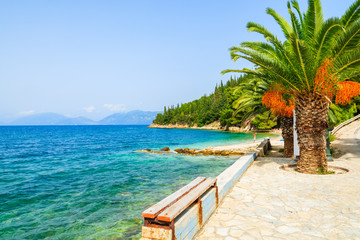 Palm tree on small beach in Sami village, Kefalonia island
