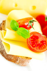 Sandwich with cheese close up