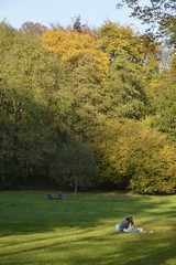 D&eacute;tente dans l'une des clairi&egrave;res du parc Roi Baudoin