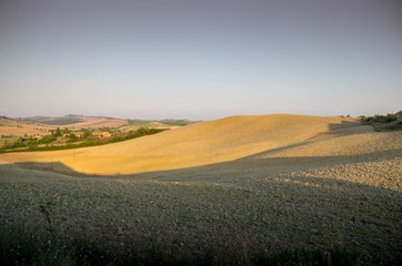 Fototapeta na wymiar prairie toscane crete senesi