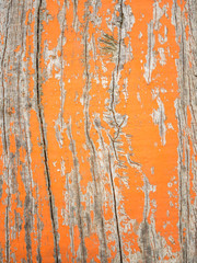 detail of old cracked painted wood