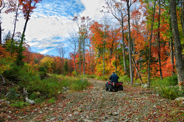 senior man riding an ATV quad by an colourful autumnal day