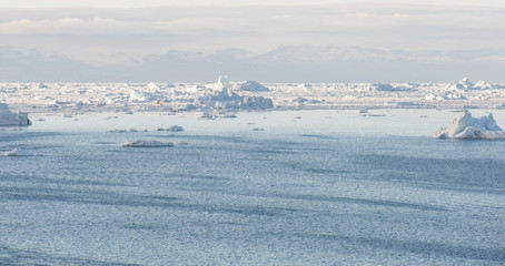 Arctic landscape in Greenland