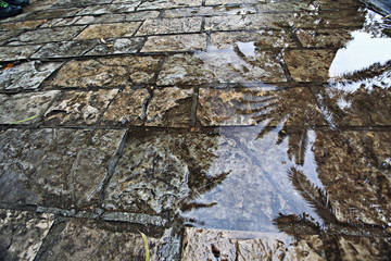 texture wet pavement stones background
