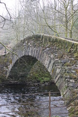 Old bridge with moss, river