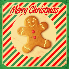 ginger xmas