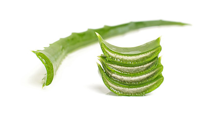Slices of aloe vera leaf