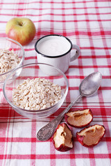 Oatmeal in bowls, mug of milk and apples