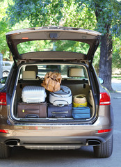 Suitcases and bags in trunk of car ready to depart for holidays