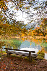 Fototapeta na wymiar bench at the shore of a lake in an autumnal forest