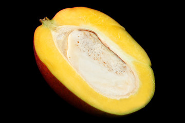 Avocado on black background