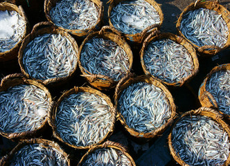 anchovy basket, material for fish sauce
