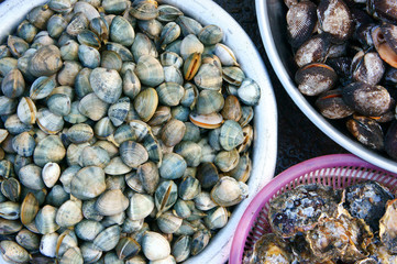 Fresh seafood, Vietnam fish market, nutrition food