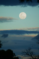 Fototapeta na wymiar Full moon at dusk