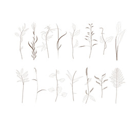 Hand Drawn vintage floral and decor elements