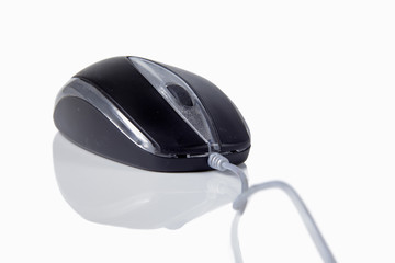 Computer mouse on white background