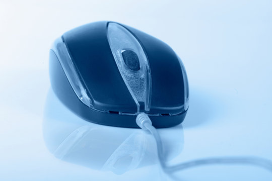 Blue Computer Mouse