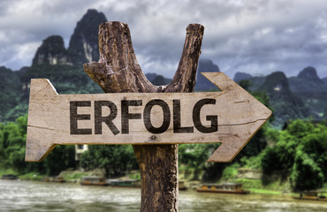 Success (In German) wooden sign with a forest background