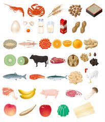 食品　食材