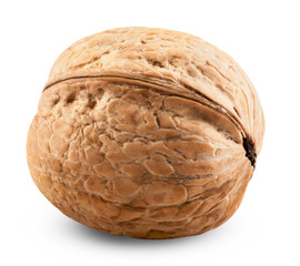 Single walnut