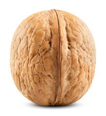 Single walnut