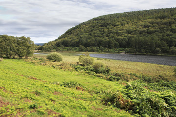Fototapeta na wymiar Lough Dan in Wicklow Mountains National Park