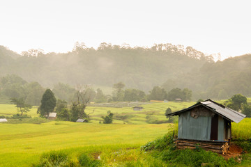 A hut near Rice terraces