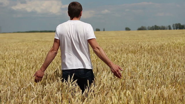 farmer raises his hands up in wheat field