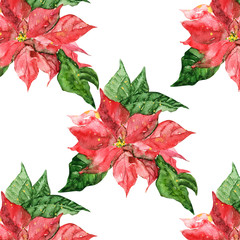Poinsettia seamless pattern - 72485313