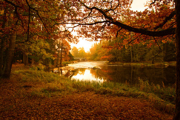 Scenic view of the river in autumn at sunrise