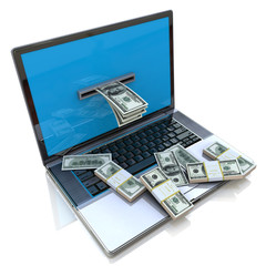 making money online - withdrawing dollars from laptop