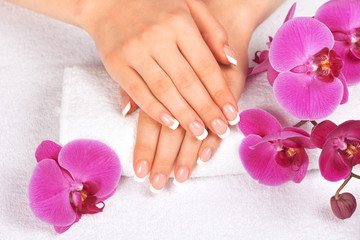 Woman's hands with perfect french manicure