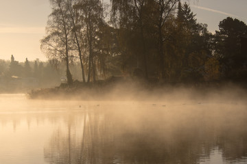 Misty lake