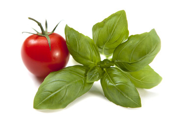 tomate basilic