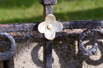 Flower iron fence detail