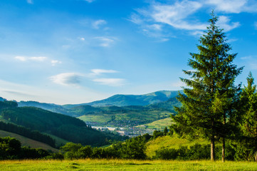 Obraz premium in the green mountains