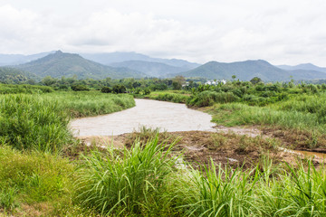 Plant With View River Mountains
