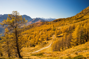 The colors of autumn in the Alps